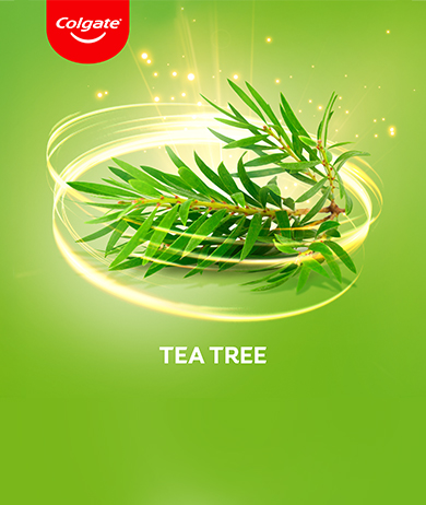 tea tree