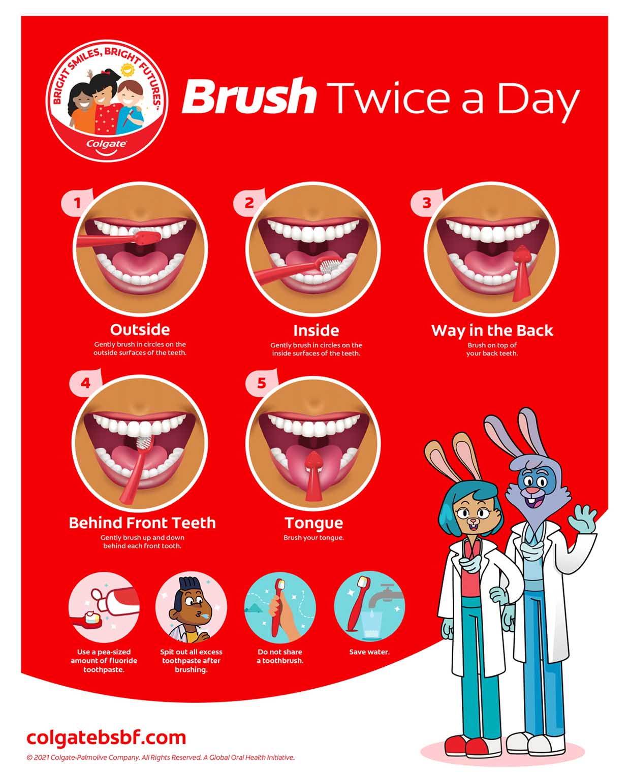 How to Brush & What to eat